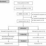 Efficacy of Cognitive Stimulation Therapy for Cognition in Patients with Vascular Cognitive Impairment: A Pilot Randomized Controlled Trial [Published online in advanced , by J-STAGE]